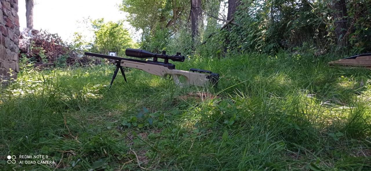 Colt De Rai - Camera De Inchiriat Решіца Екстер'єр фото